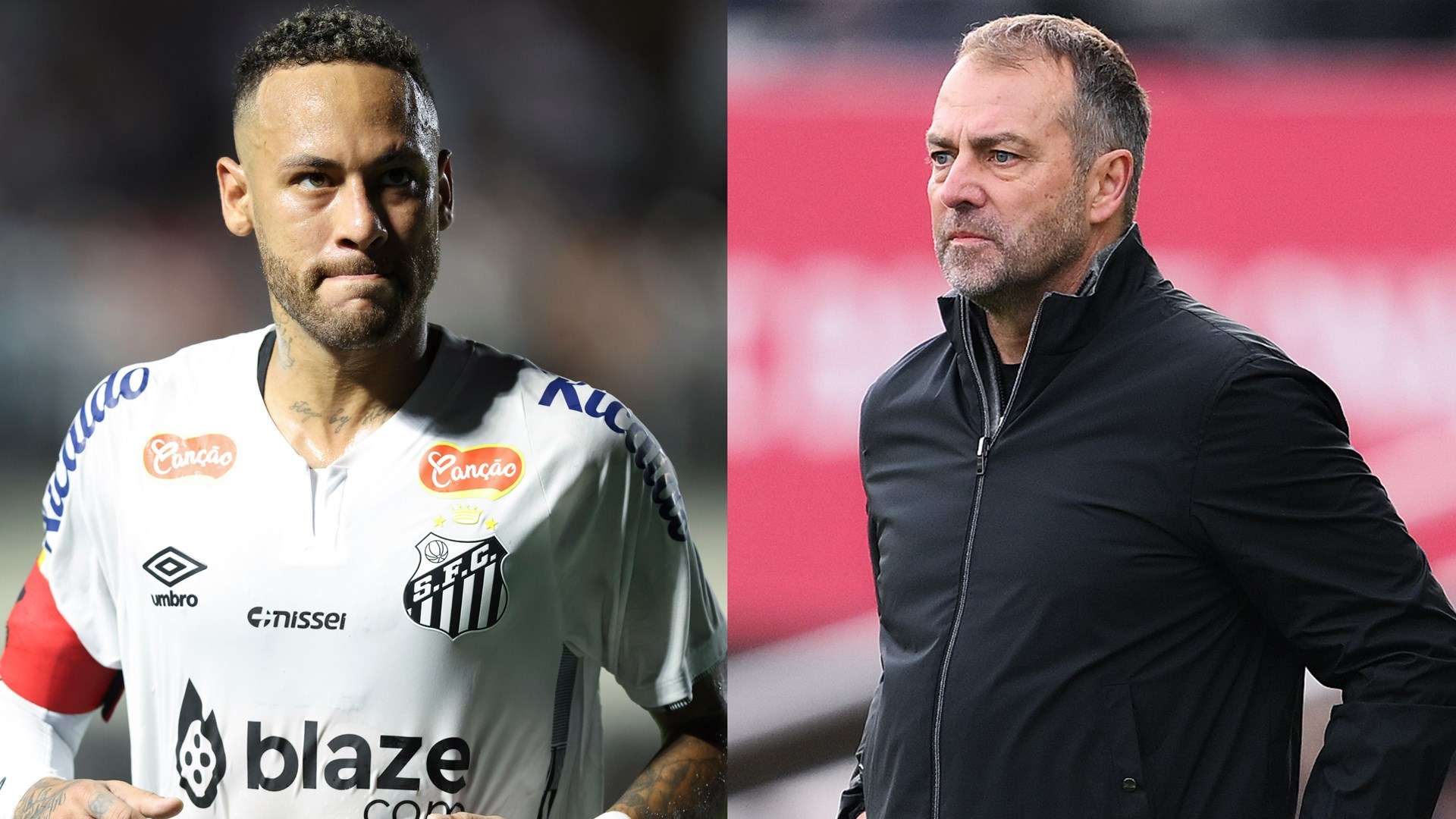 不仅获得了 不仅获得了