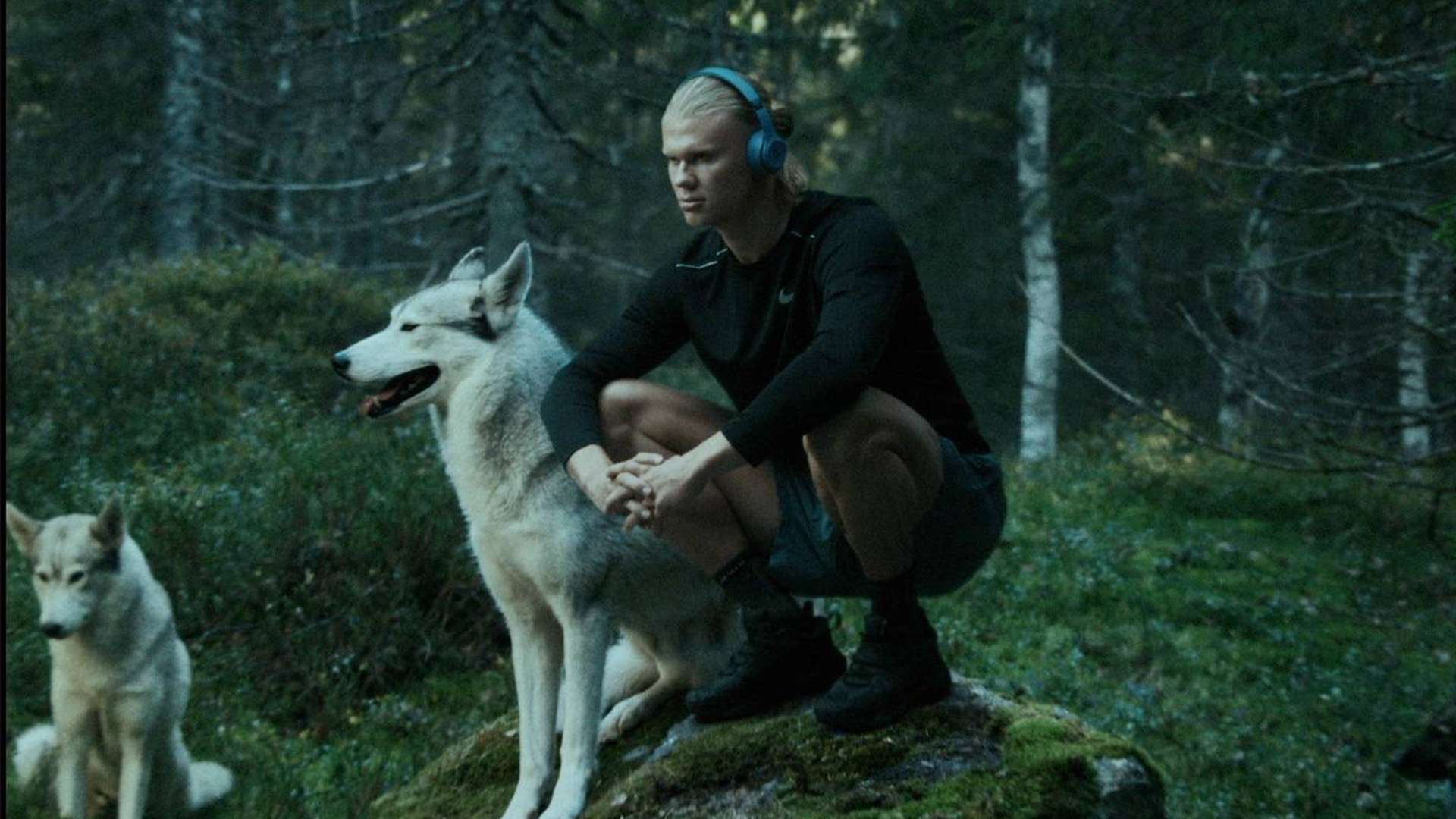 域举行一系 域举行一系