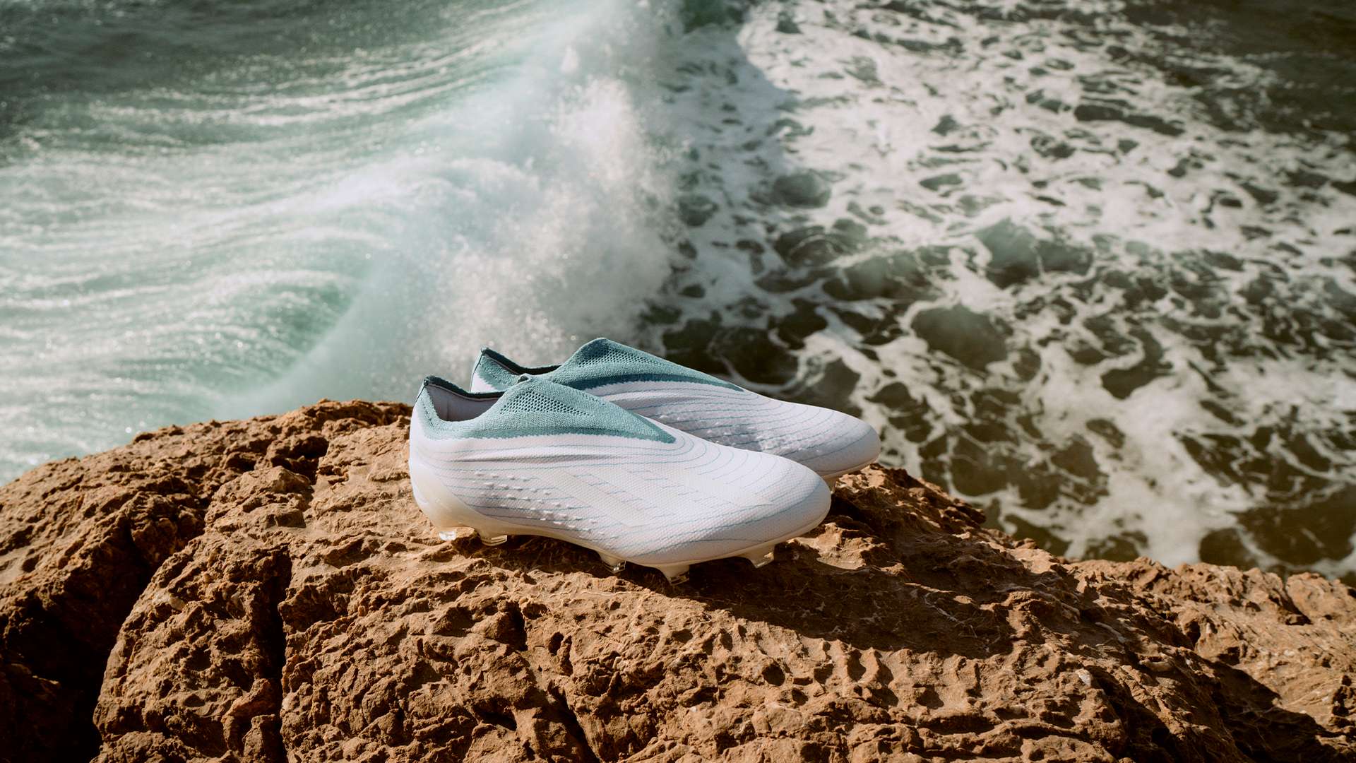 正是體現了 正是體現了