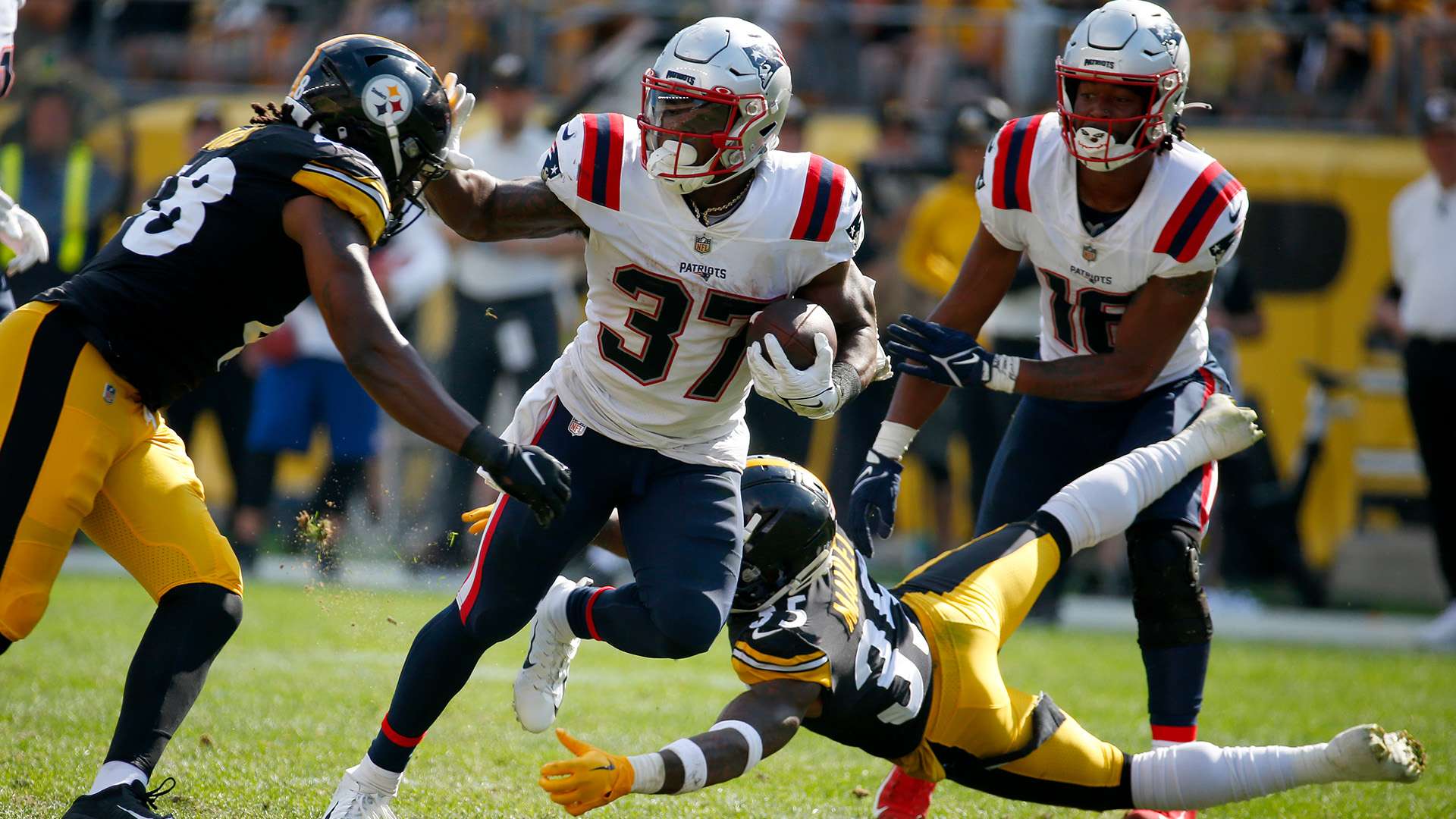 成熟度和智 成熟度和智