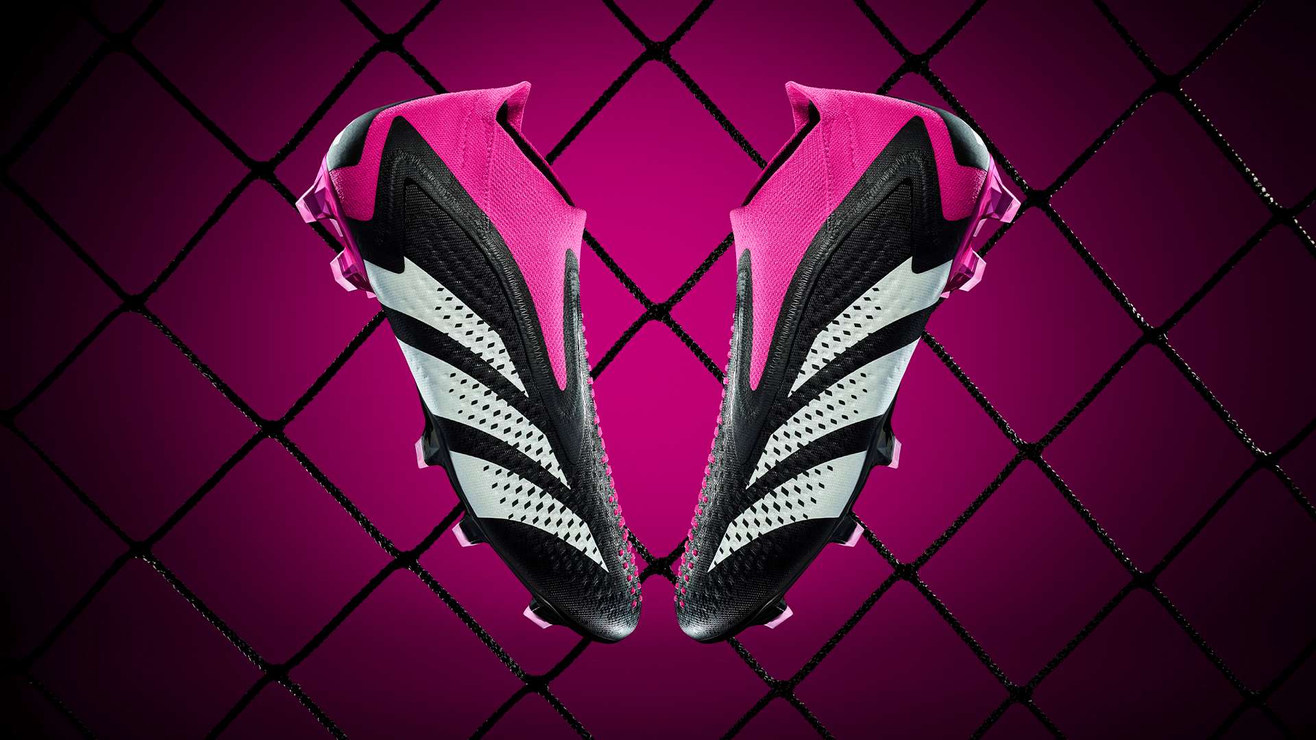 书写历史 书写历史