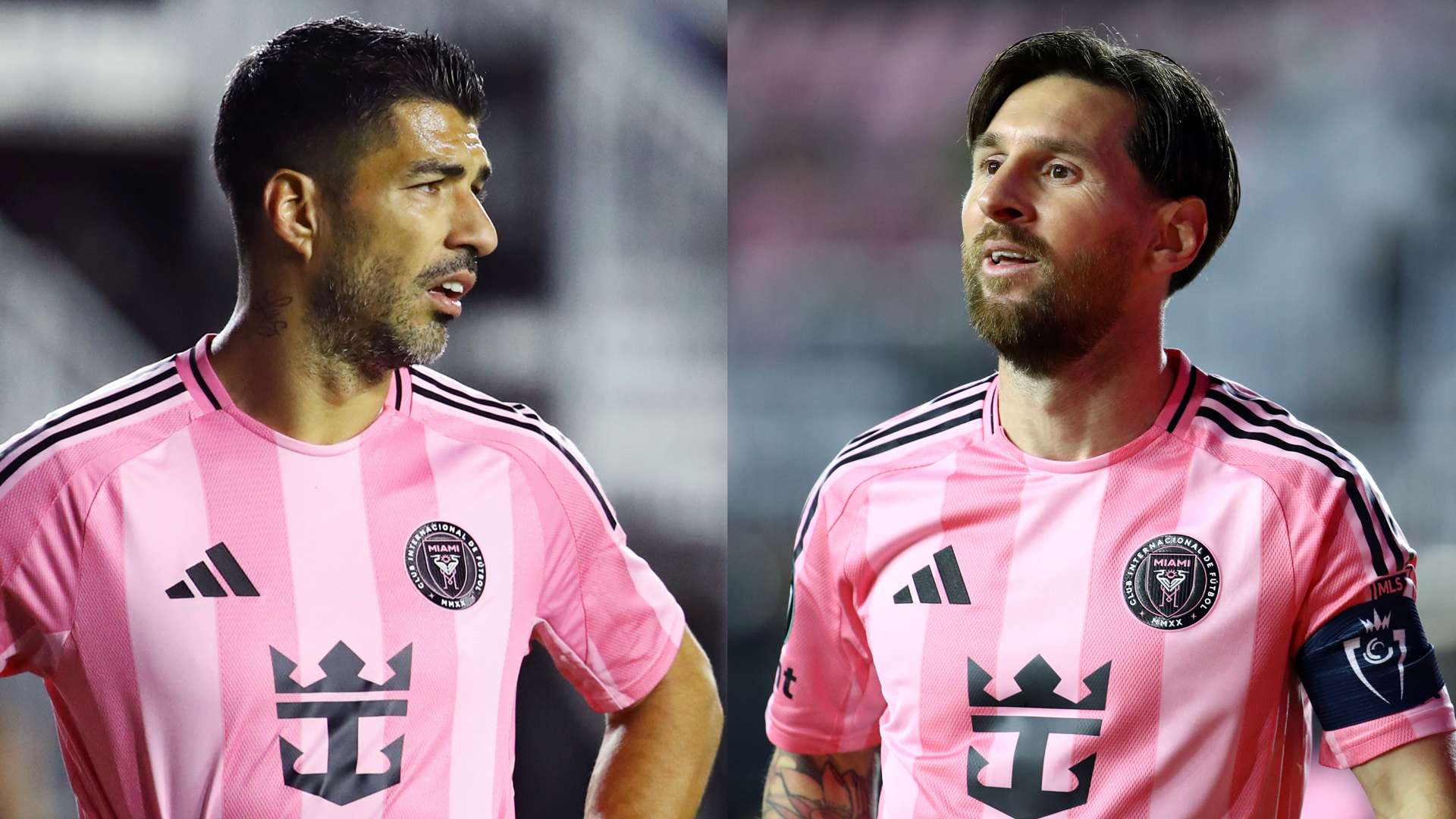 度上赋予了 度上赋予了