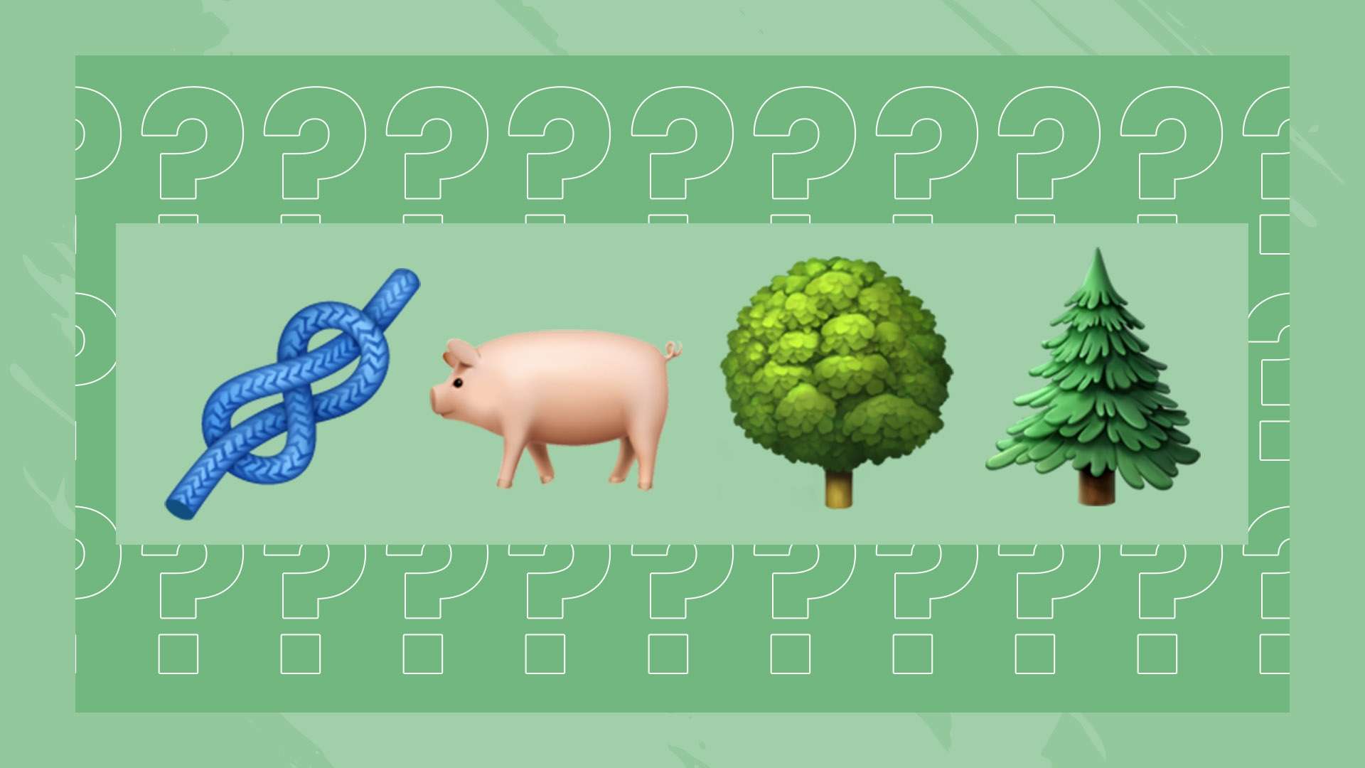 的灵活性 的灵活性