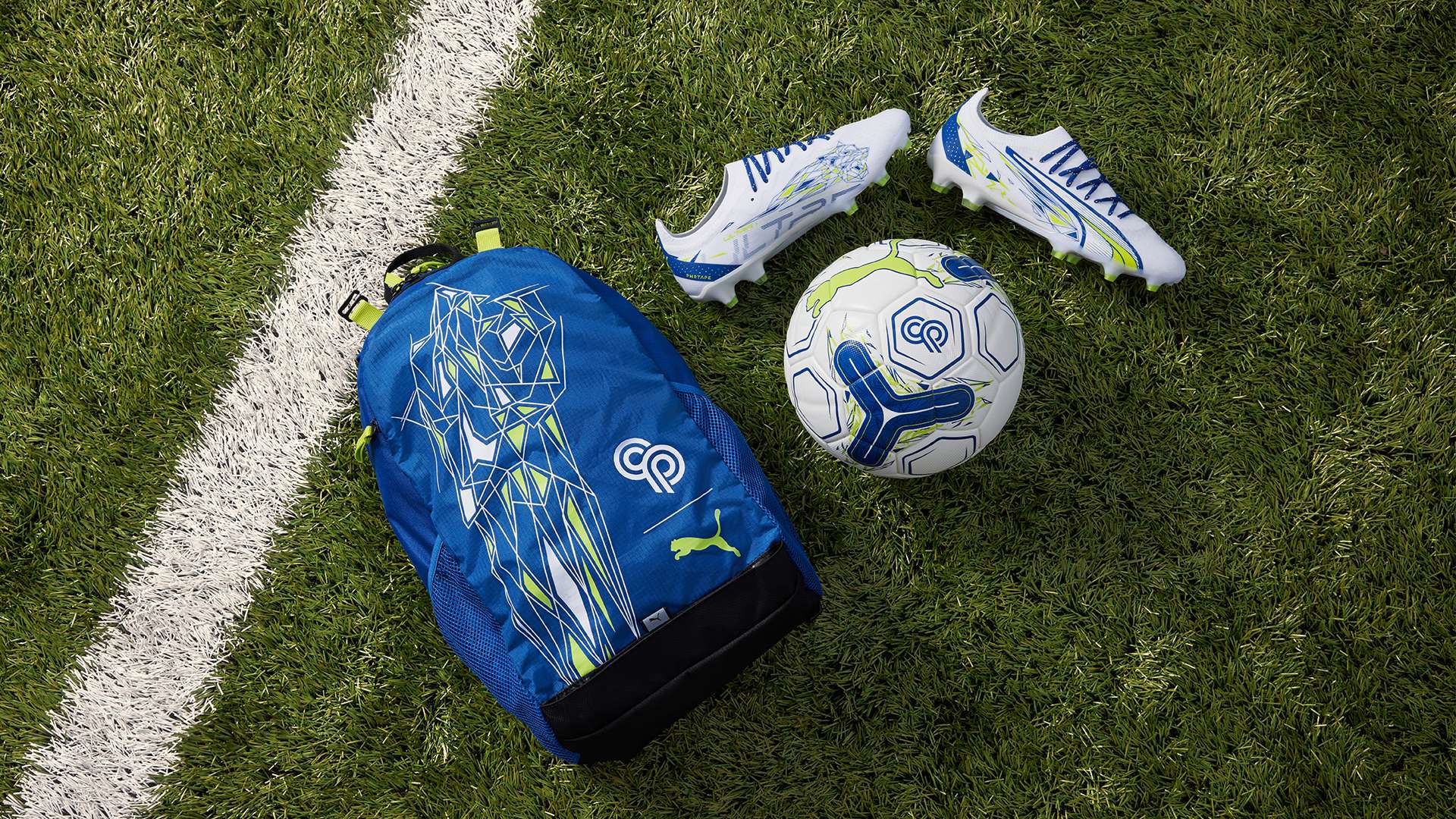 議的戰績被 議的戰績被